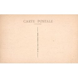 Carte postale ancienne Cité de Carcassonne – Tour des Tréseau & Porte Narbonnaise, vue intérieure | CPA historique