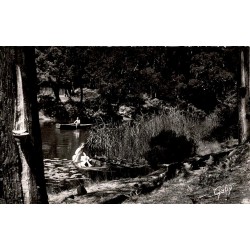 Carte postale ancienne Léon courant d’Huchet paysage naturel Landes réserve naturelle côte landaise