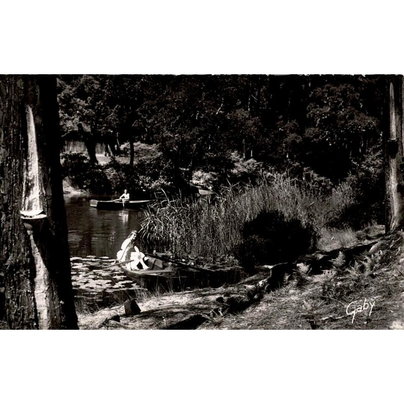 Carte postale ancienne Léon courant d’Huchet paysage naturel Landes réserve naturelle côte landaise