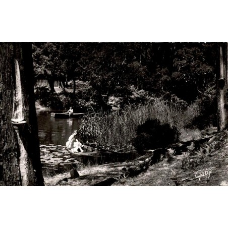 Carte postale ancienne Léon courant d’Huchet paysage naturel Landes réserve naturelle côte landaise