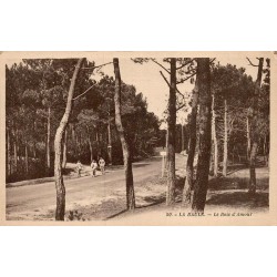CPA La Baule Le Bois d’Amour