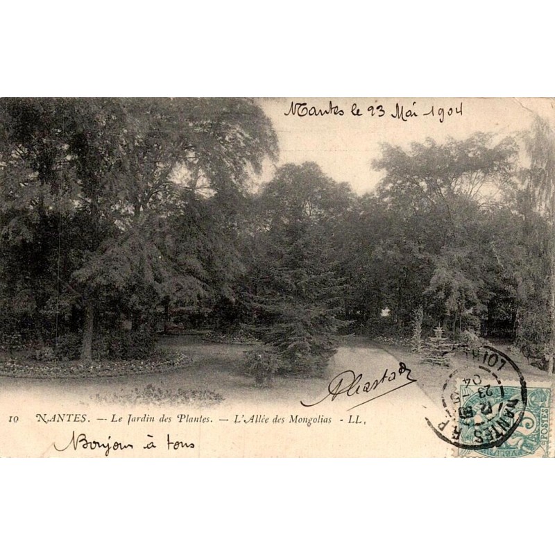 CPA Nantes Jardin des Plantes Magnolias LL