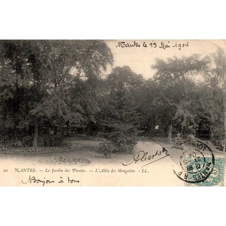CPA Nantes Jardin des Plantes Magnolias LL