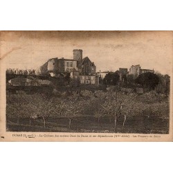 CPA Duras château et pruniers en fleurs
