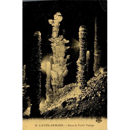 Carte postale ancienne Aven Armand Dans la Forêt Vierge Lozère intérieur de grotte avec stalagmites monumentales