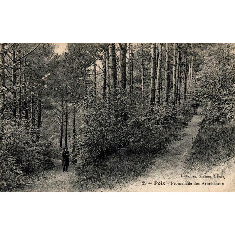 Carte postale ancienne Poix Promenade des Abrisseaux Marne vue d’une allée arborée et d’un espace de promenade ancien