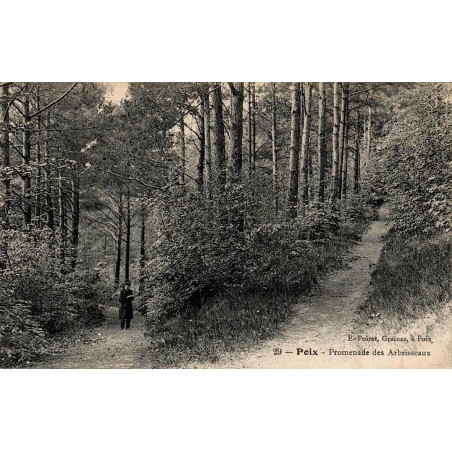 Carte postale ancienne Poix Promenade des Abrisseaux Marne vue d’une allée arborée et d’un espace de promenade ancien