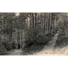 Carte postale ancienne Poix Promenade des Abrisseaux Marne vue d’une allée arborée et d’un espace de promenade ancien