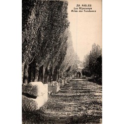 Carte postale ancienne de l’allée des tombeaux aux Alyscamps à Arles avec sarcophages alignés