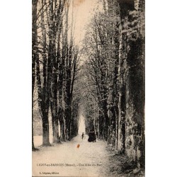 Carte postale ancienne d’une allée du parc de Ligny-en-Barrois.
