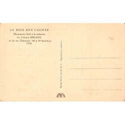 Bois des Caures Monument du Colonel Driant et de ses Chasseurs Carte Postale Ancienne Meuse 55