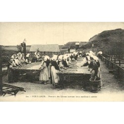 Reproduction de carte postale ancienne Port-Louis femmes des usines mettant leurs sardines à sécher  Morbihan