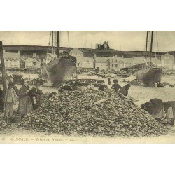 Reproduction de carte postale ancienne Cancale triage des huîtres Collection Cartes d'Autrefois Ille-et-Vilaine