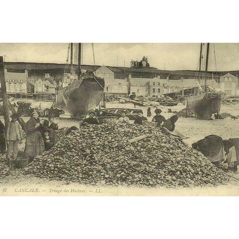 Reproduction de carte postale ancienne Cancale triage des huîtres Collection Cartes d'Autrefois Ille-et-Vilaine