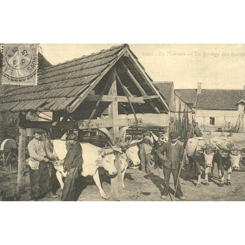 Reproduction de carte postale ancienne En Morvan Le Ferrage des Bœufs Collection Cartes d'Autrefois Bourgogne