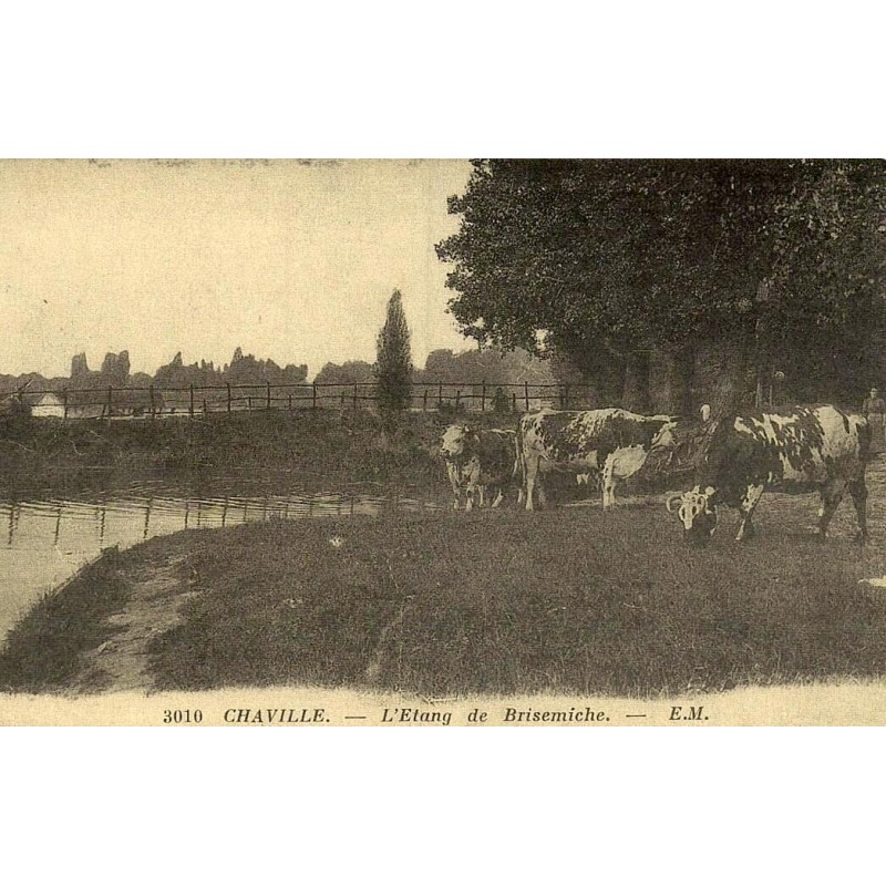 Reproduction de carte postale ancienne Chaville étang de Brisemiche Collection Cartes d'Autrefois Seine-et-Oise