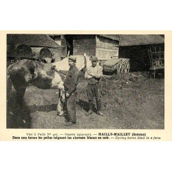 Reproduction de carte postale  Mailly-Maillet poilus teignant les chevaux dans une ferme Collection Cartes d'Autrefois Somme