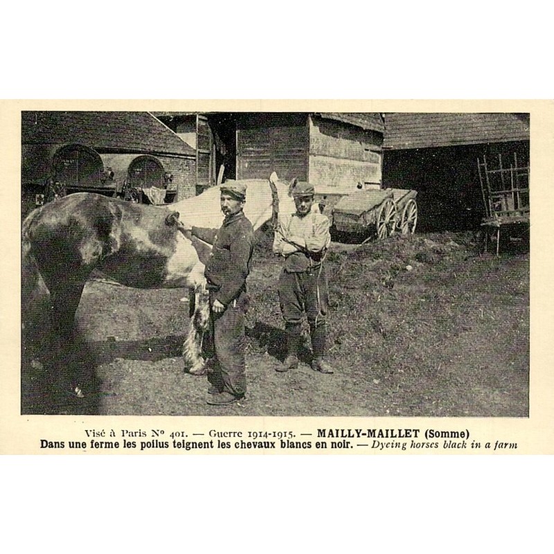 Reproduction de carte postale  Mailly-Maillet poilus teignant les chevaux dans une ferme Collection Cartes d'Autrefois Somme
