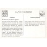 Vallouise - Reproduction Carte Ancienne Collection Cartes d'Autrefois Batterie Alpine