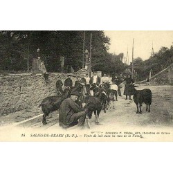 Salies-de-Béarn vente de lait reproduction carte ancienne Collection Cartes d'Autrefois