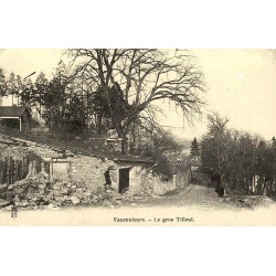 Vaucouleurs Gros Tilleul reproduction carte ancienne Collection Cartes d'Autrefois