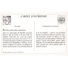 Paris - Reproduction Carte Ancienne Victimes du Pluviôse