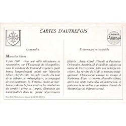 Montpellier - Reproduction Carte Ancienne Marcelin Albert