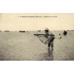 Saint-Martin-de-Bréhal la pêche à la crevette reproduction de carte postale ancienne Collection Cartes d'Autrefois