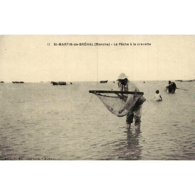 Saint-Martin-de-Bréhal la pêche à la crevette reproduction de carte postale ancienne Collection Cartes d'Autrefois