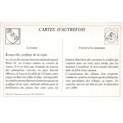 Greffage de la Vigne - Reproduction Carte Ancienne Collection Cartes d'Autrefois