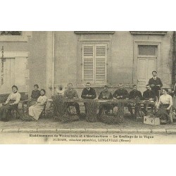 Reproduction de CPA Collection Cartes d'Autrefois greffage de la vigne établissement de viticulteurs et horticulteurs