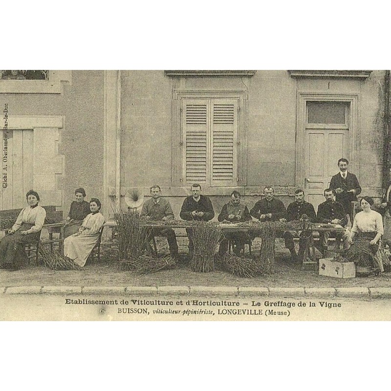Reproduction de CPA Collection Cartes d'Autrefois greffage de la vigne établissement de viticulteurs et horticulteurs