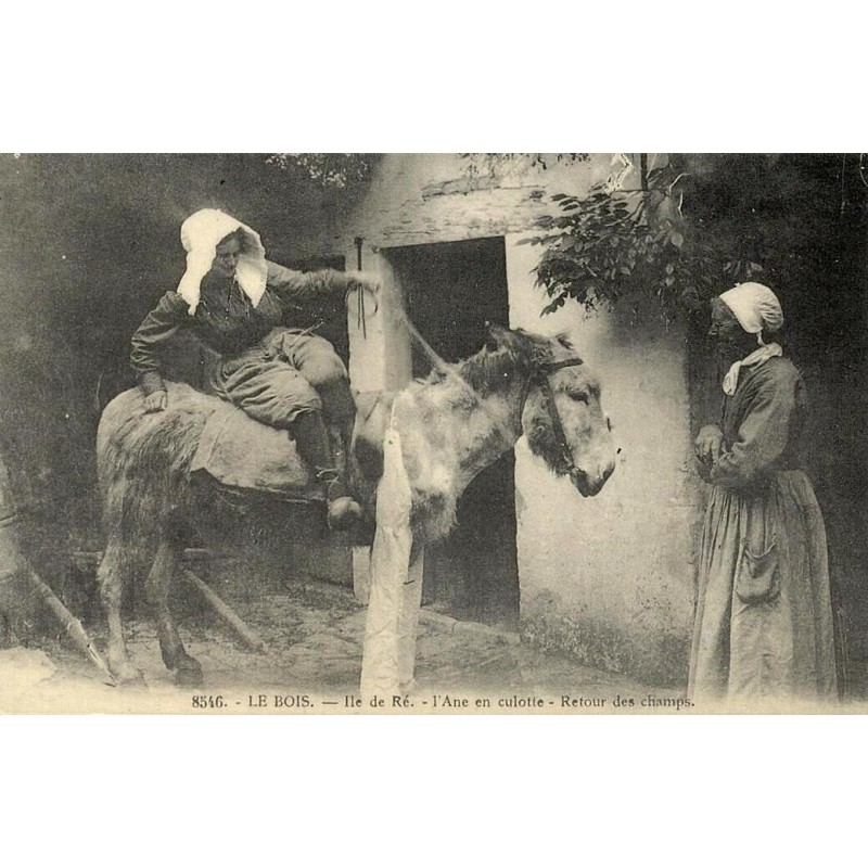 Reproduction de carte postale ancienne Collection Cartes d'Autrefois Le Bois-Plage-en-Ré l’âne en culotte retour des champs