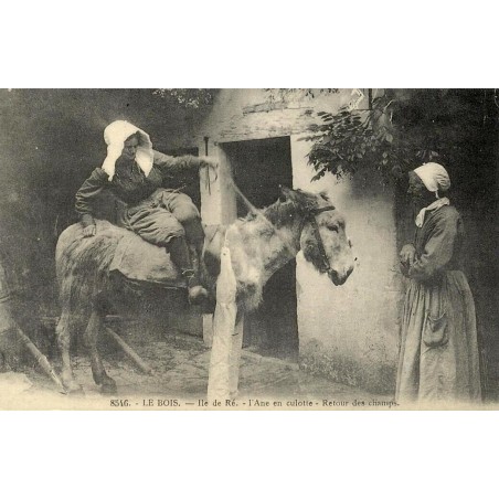 Reproduction de carte postale ancienne Collection Cartes d'Autrefois Le Bois-Plage-en-Ré l’âne en culotte retour des champs