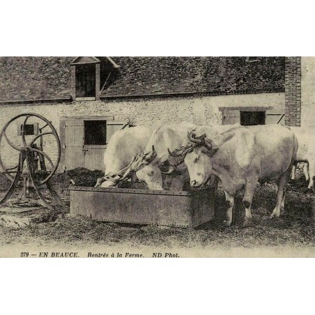 Reproduction de carte postale ancienne Collection Cartes d'Autrefois Beauce rentrée à la ferme attelage de bœufs