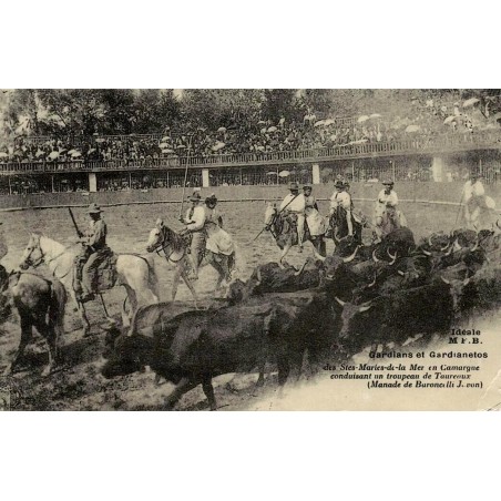Reproduction de carte postale ancienne Collection Cartes d'Autrefois Saintes-Maries-de-la-Mer gardians et gardianetos Camargue