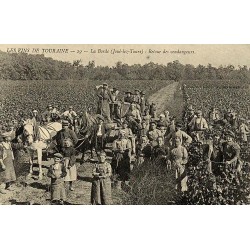 Reproduction de carte postale ancienne Collection Cartes d'Autrefois Joué-lès-Tours La Borde retour des vendangeurs