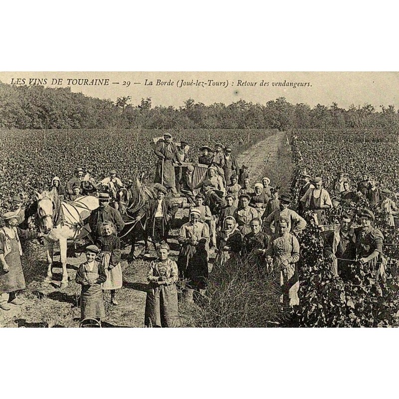 Reproduction de carte postale ancienne Collection Cartes d'Autrefois Joué-lès-Tours La Borde retour des vendangeurs