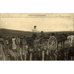 Reproduction de carte postale ancienne Collection Cartes d'Autrefois La Vie en Champagne folklore costume vignoble
