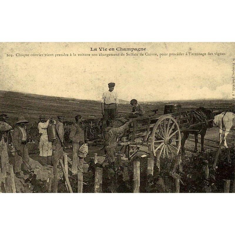 Reproduction de carte postale ancienne Collection Cartes d'Autrefois La Vie en Champagne folklore costume vignoble