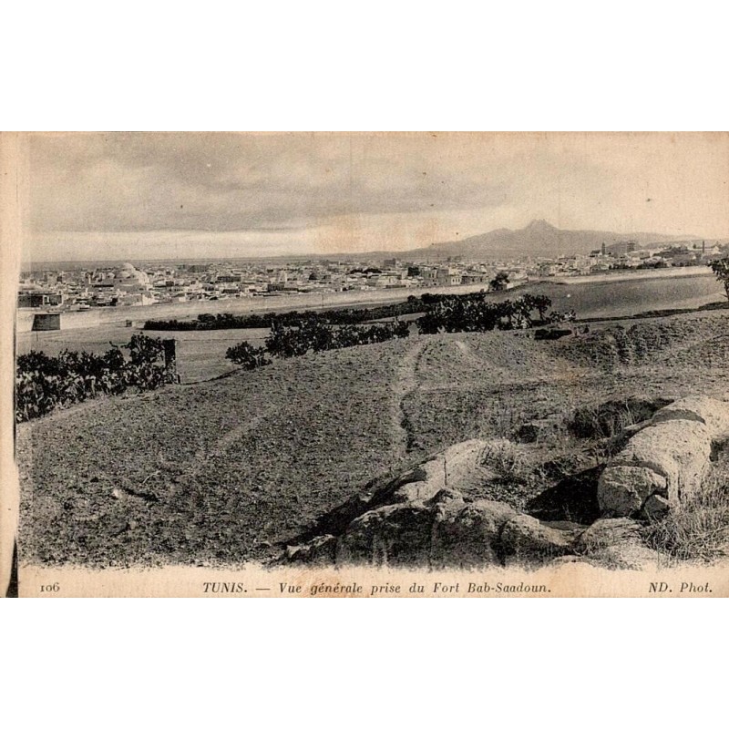Tunis vue générale prise du fort Bab Saadoun carte postale ancienne Tunisie