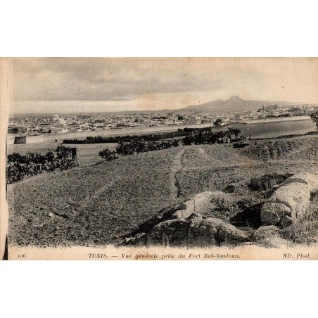 Tunis vue générale prise du fort Bab Saadoun carte postale ancienne Tunisie