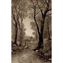Forêt autrichienne vue pittoresque carte postale ancienne circulée éditeur LEP