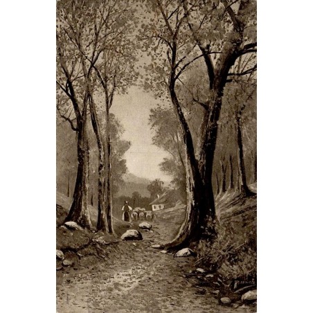 Forêt autrichienne vue pittoresque carte postale ancienne circulée éditeur LEP