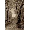 Forêt autrichienne vue pittoresque carte postale ancienne circulée éditeur LEP
