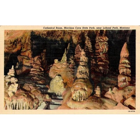 Cathedral Room Morrison Cave Lahood Park Montana carte postale ancienne CT Art Colortone