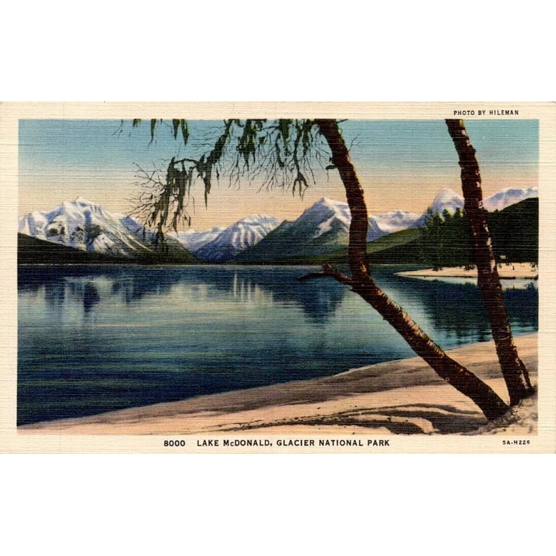 Lake McDonald Glacier National Park Montana carte postale ancienne CT Art Colortone Hileman