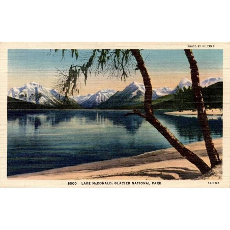 Lake McDonald Glacier National Park Montana carte postale ancienne CT Art Colortone Hileman