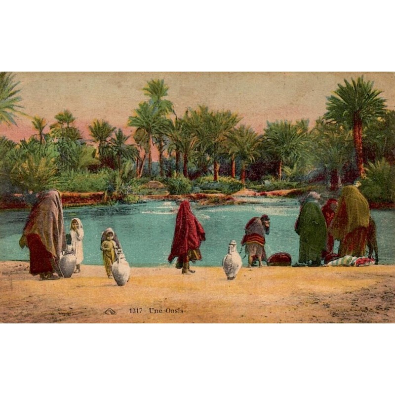 Une Oasis Algérie carte postale ancienne CPA circulée numéro 1317 paysage saharien