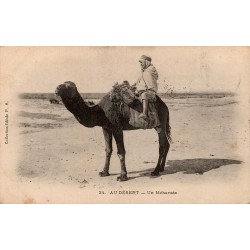 Au Désert un Méhariste Algérie carte postale ancienne CPA circulée 1905 Ideales PS numéro 24